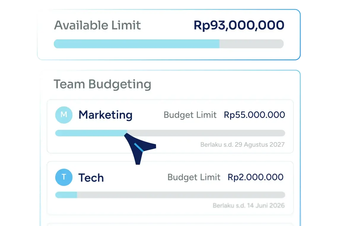 Dashboard limit tersedia dan budget per tim