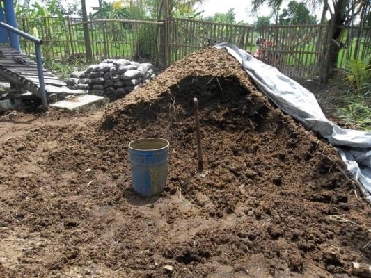 Olah Kotoran Ayam, Petani Sukses Ini Hasilkan Jutaan Rupiah Tiap Hari