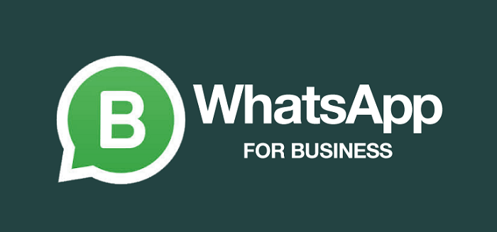 whatsapp bisnis