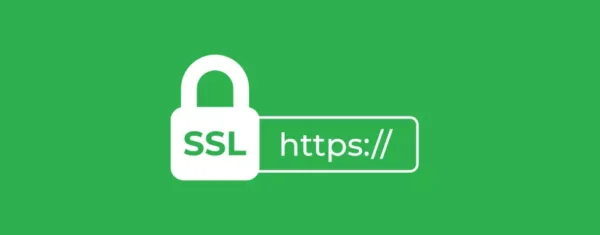Apa itu SSL (Secure Sockets Layer) dan Pentingnya Keamanan Data Online Anda