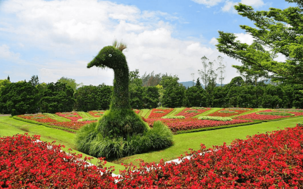 Taman Bunga Nusantara