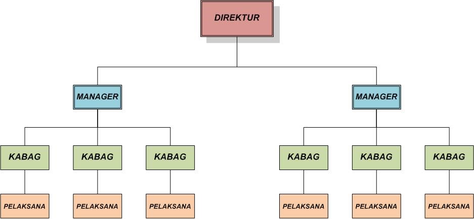 Contoh struktur organisasi perusahaan dagang